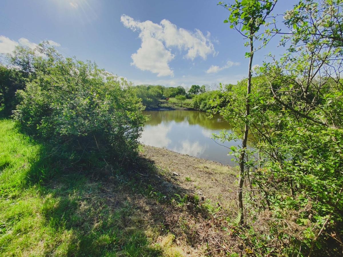 Timber Hill Self Catering Cedar Lodges Broad Haven Extérieur photo