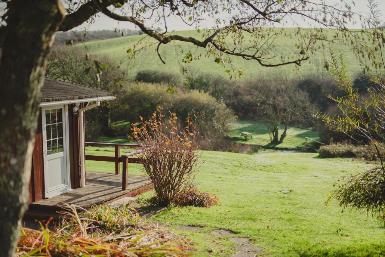 Timber Hill Self Catering Cedar Lodges Broad Haven Extérieur photo