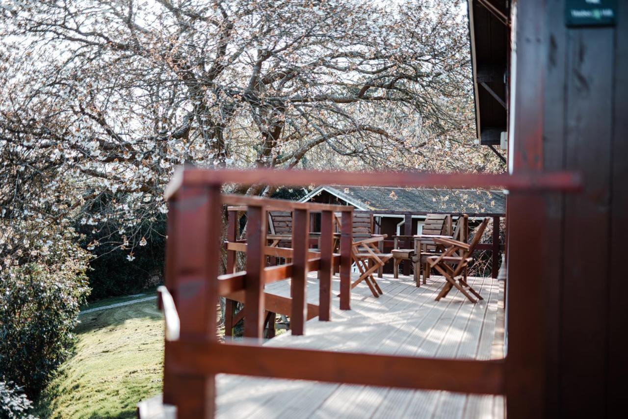 Timber Hill Self Catering Cedar Lodges Broad Haven Extérieur photo