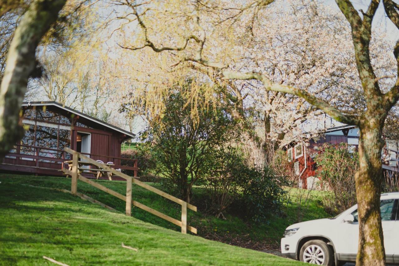 Timber Hill Self Catering Cedar Lodges Broad Haven Extérieur photo
