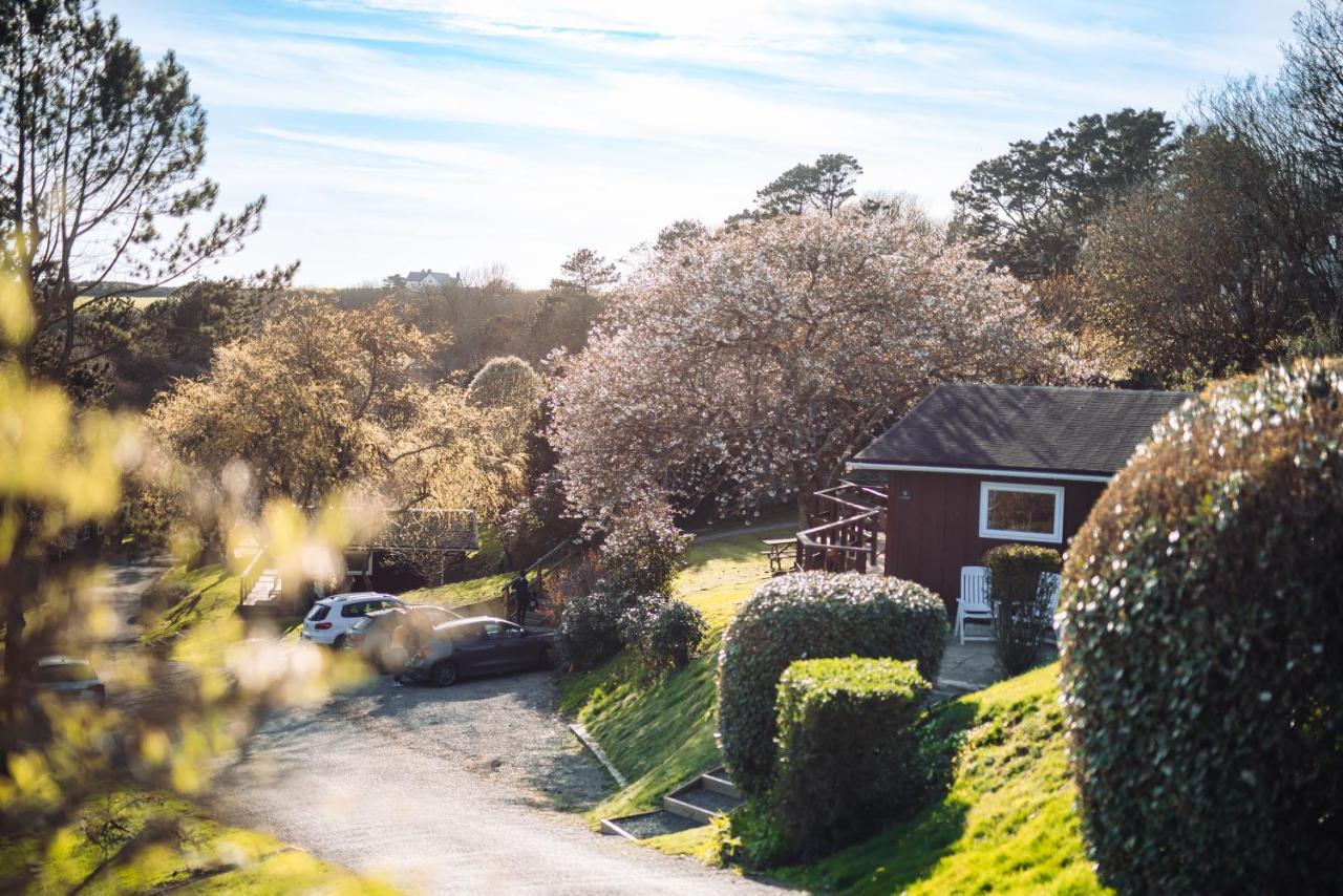 Timber Hill Self Catering Cedar Lodges Broad Haven Extérieur photo