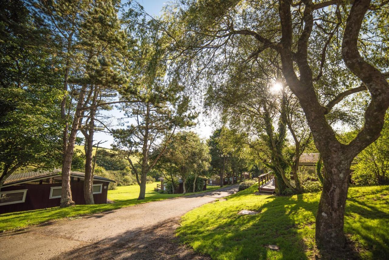 Timber Hill Self Catering Cedar Lodges Broad Haven Extérieur photo
