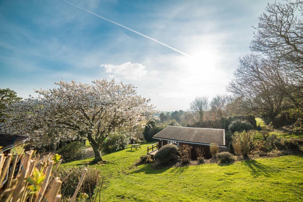 Timber Hill Self Catering Cedar Lodges Broad Haven Extérieur photo