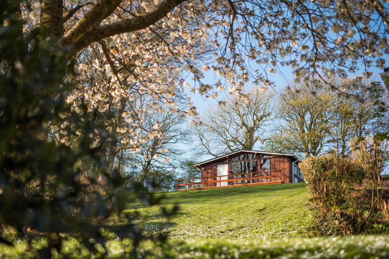 Timber Hill Self Catering Cedar Lodges Broad Haven Extérieur photo